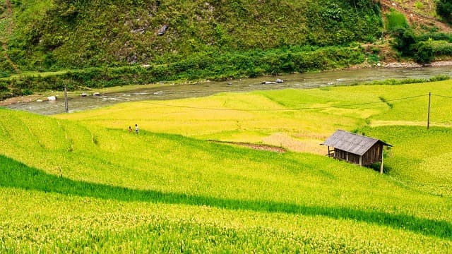 식품 생산과 농업의 친환경화 만들기