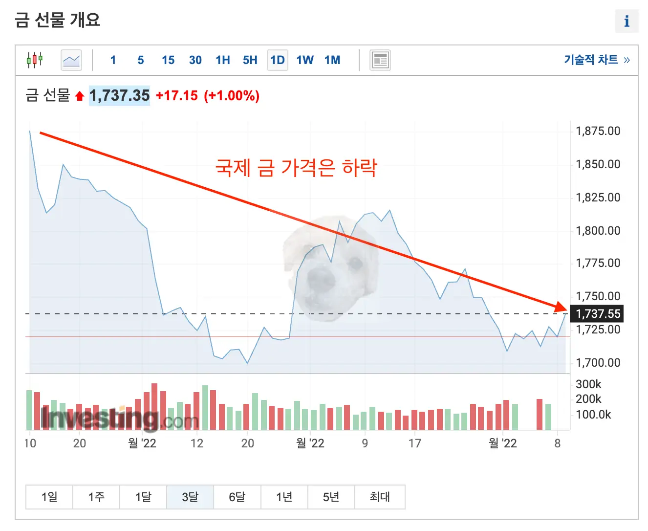 국제 금 시세 차트