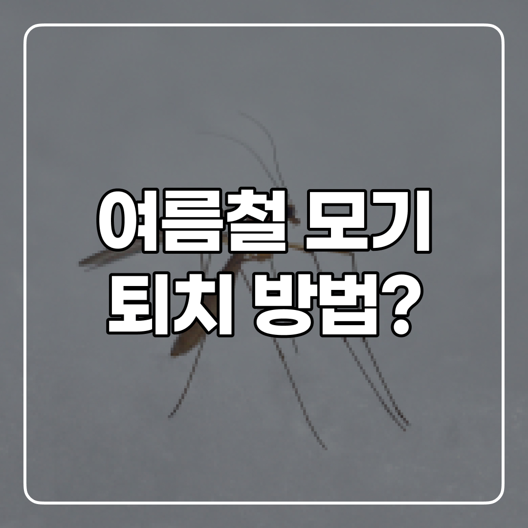 모기 퇴치법