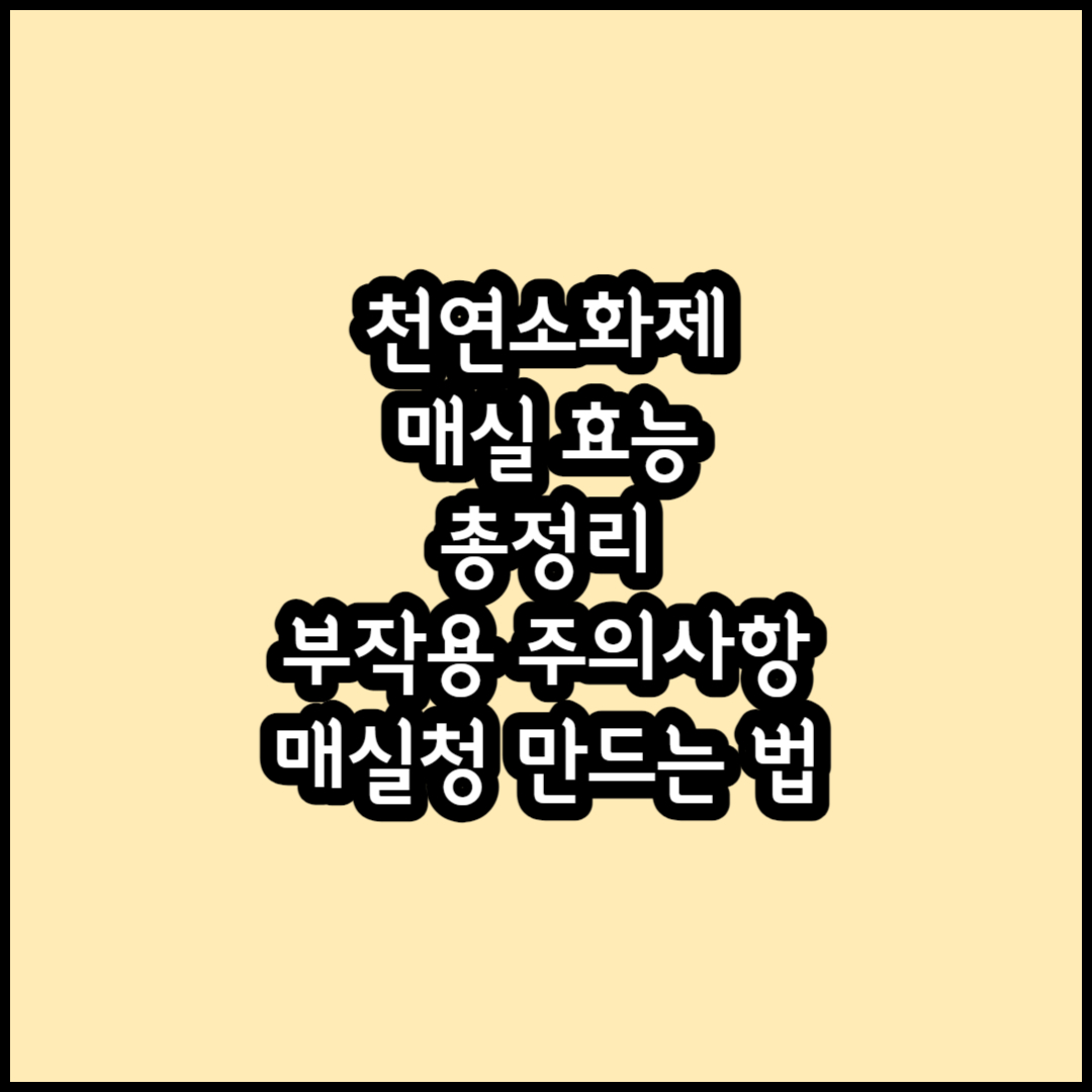 매실 효능 총정리 썸네일