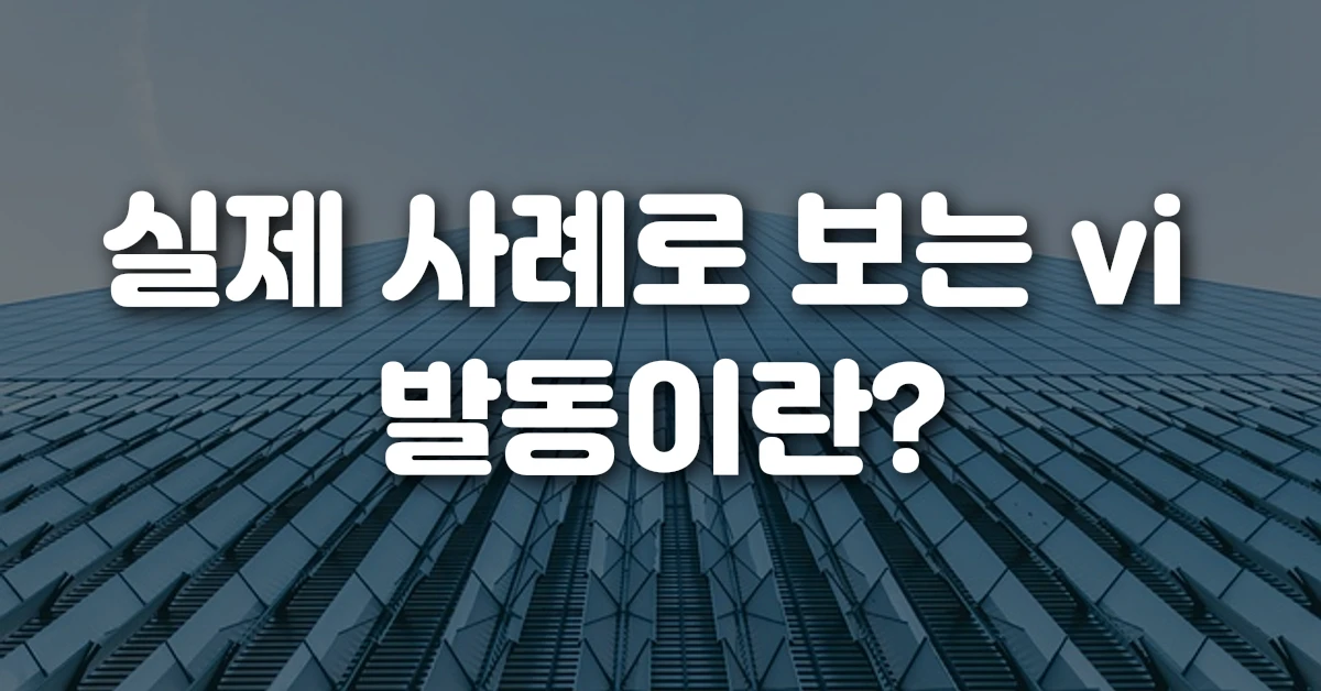 실제 사례로 보는 vi 발동이란