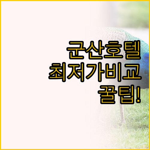 군산 나운동 호텔 추천, 저스트슬립 ..