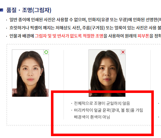 여권사진 규격