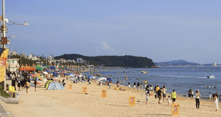 해수욕장 개장일정