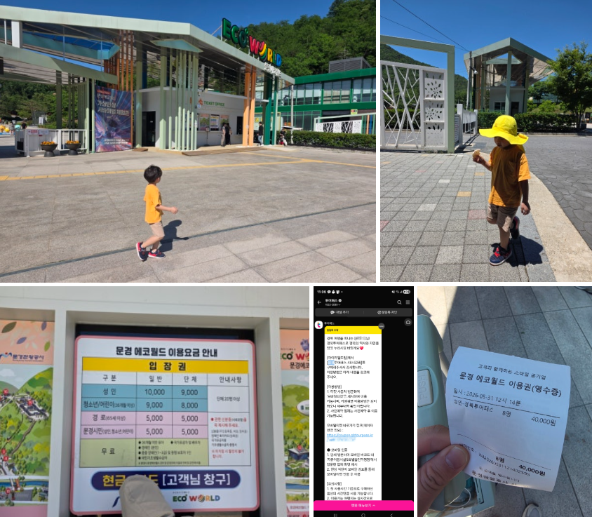 [문경 6월] 더운 여름날, 6살 아들과 8&middot;10살 조카들과 에코월드에서 보낸 하루