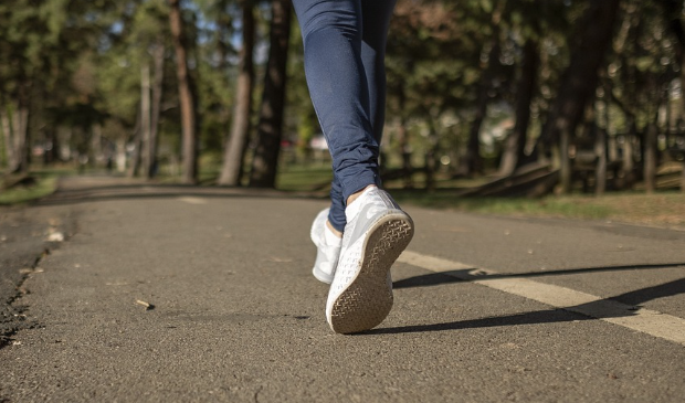 코엔자임Q10 섭치 : 운동