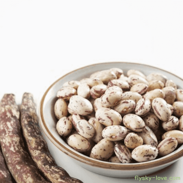 호랑이 콩 고르는 법