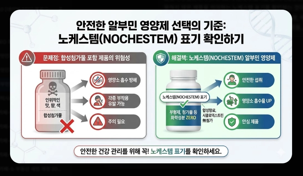 알부민 효능 완벽 분석 [2026 최신] 부족 증상 수치 및 올바른 제품 선택 가이드