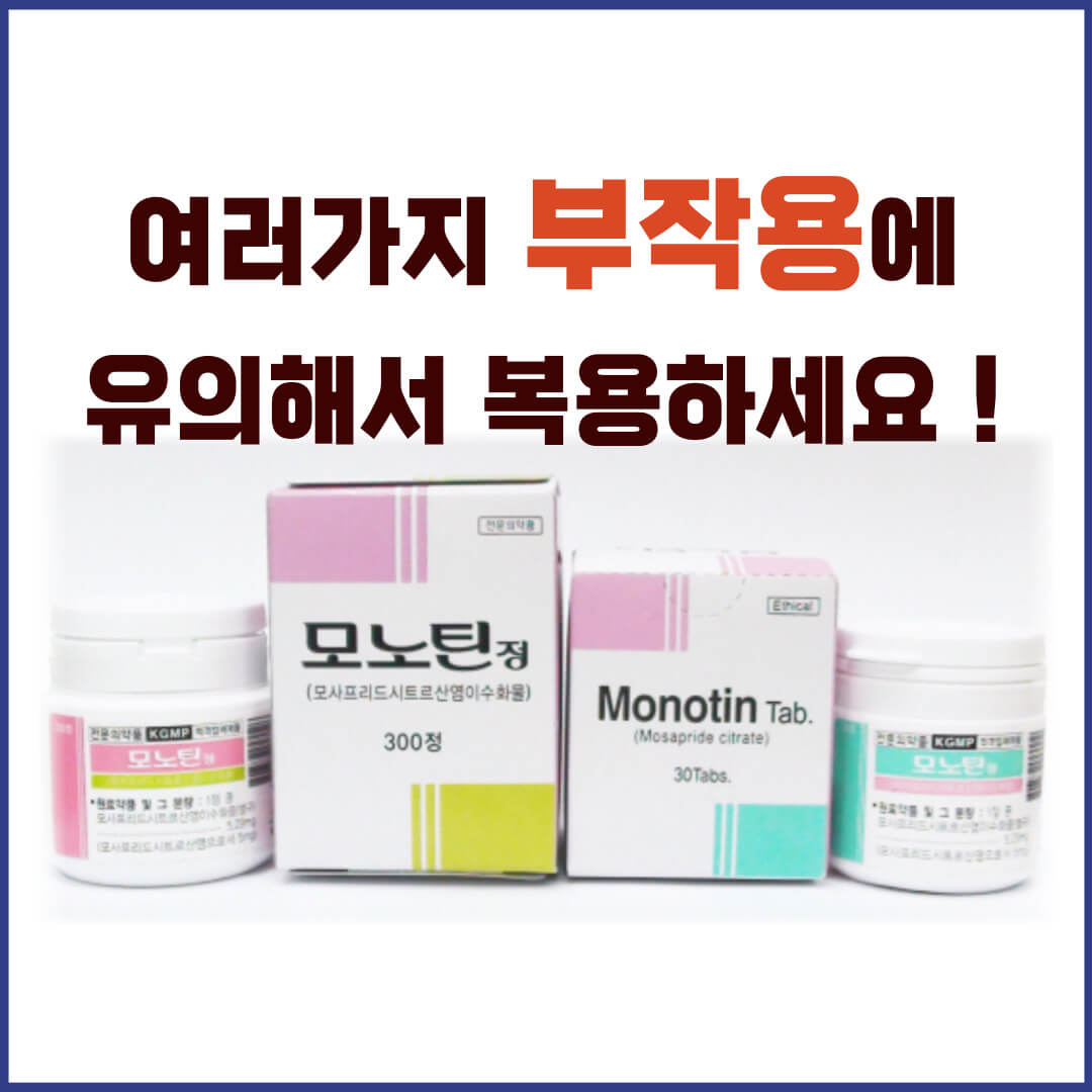 모노틴정 부작용