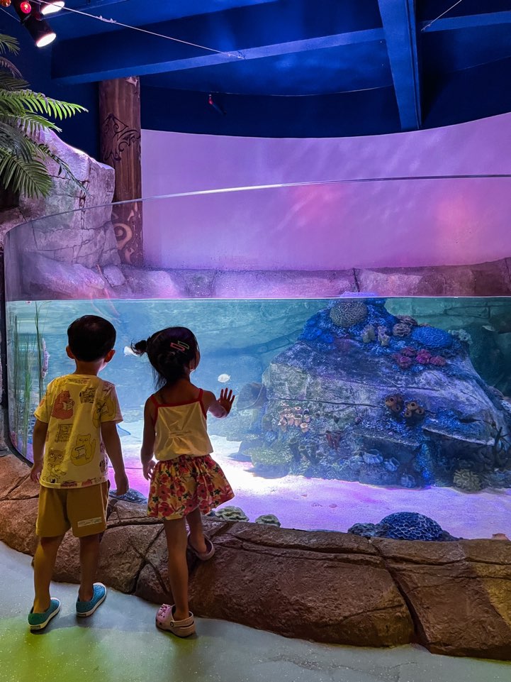 조호바루-레고랜드-씨라이프-아쿠아리움