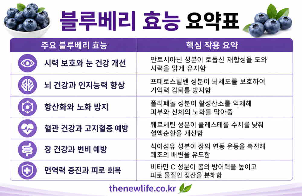 블루베리 효능 요약표