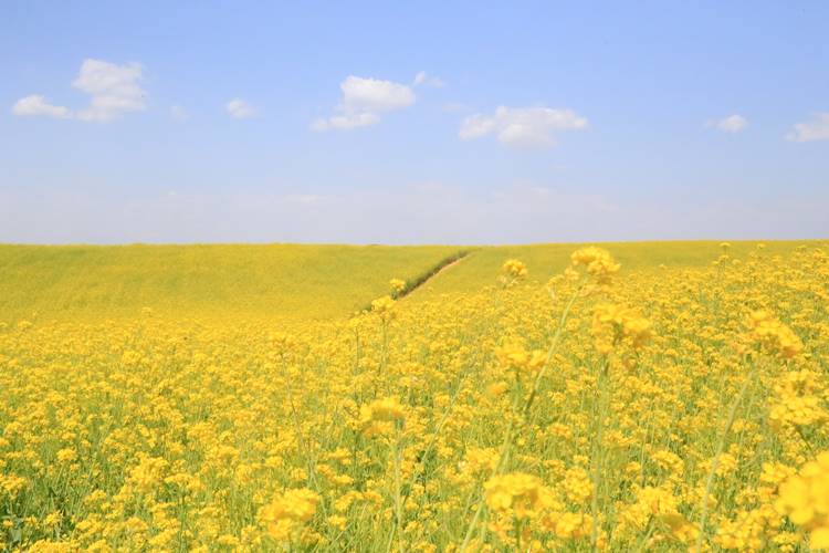 안성팜랜드 입장료 할인