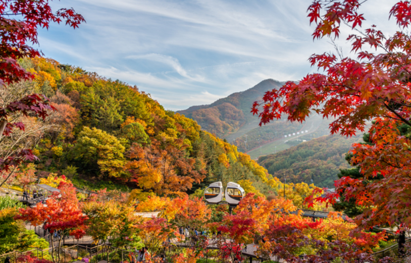 화담숲