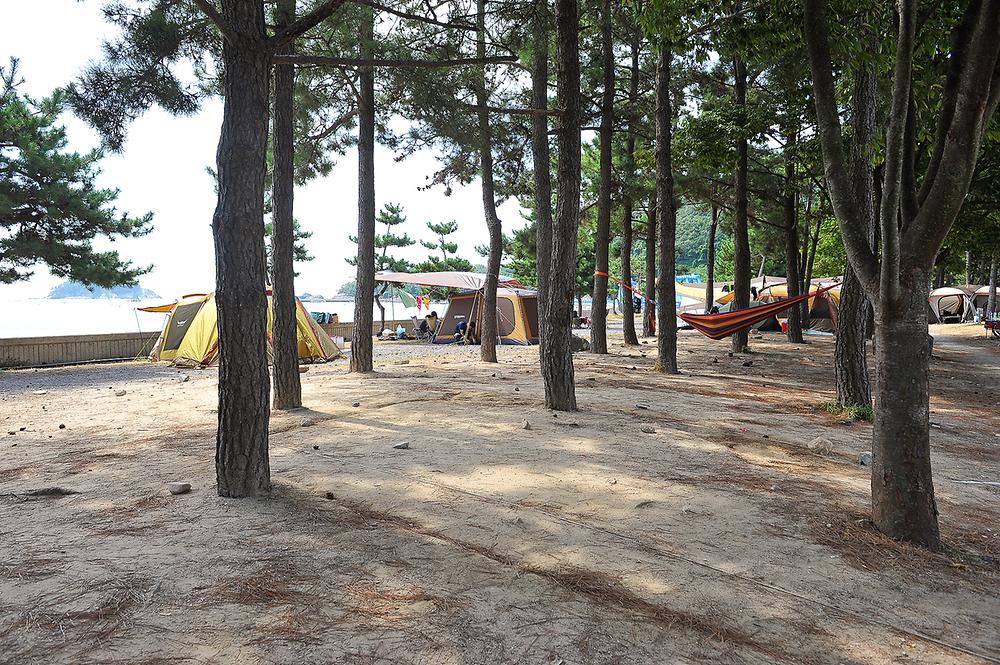 남해군 상주은모래비치 오토캠핑장 소개