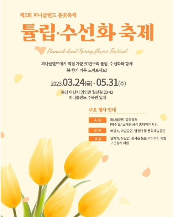 피나클랜드튤립수선화축제