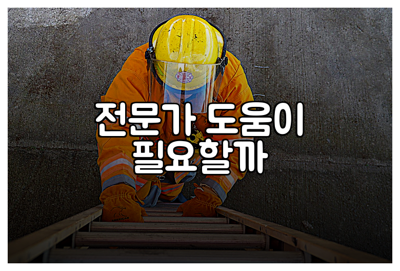 전문가 도움이 필요할까