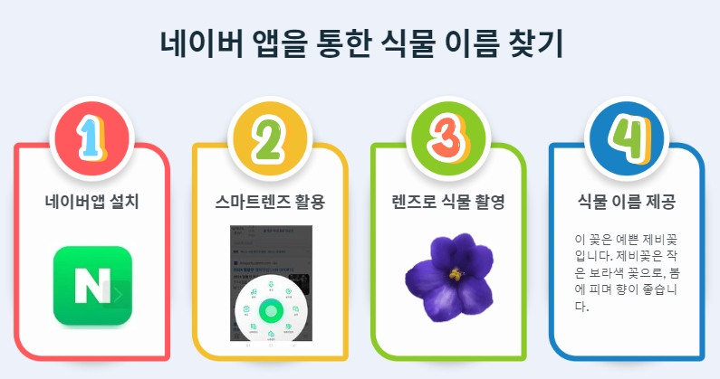 네이버 앱을 통한 식물 이름 찾기