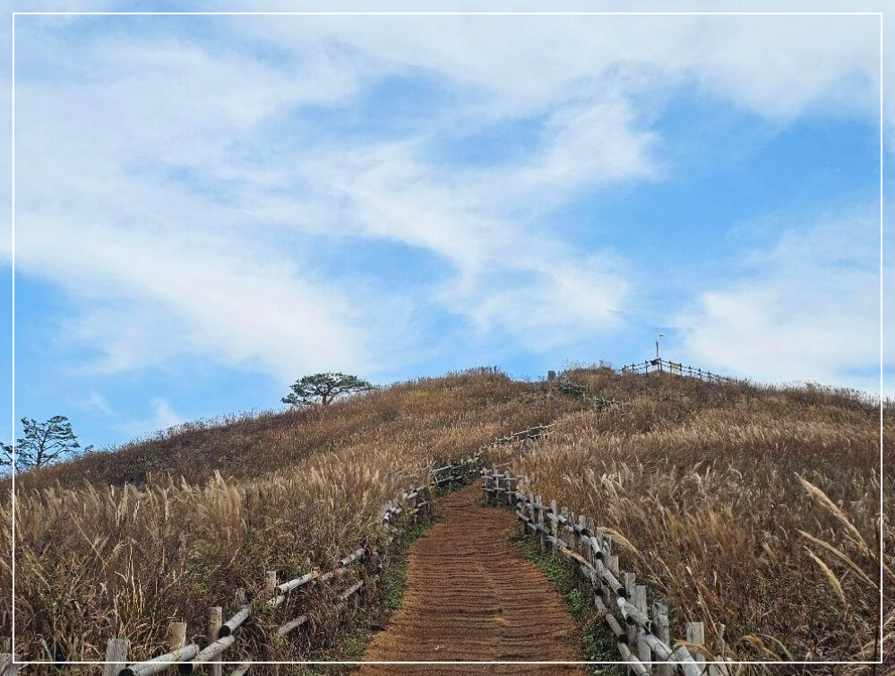 정선 가볼만한곳 베스트10 민둥산 억새평원