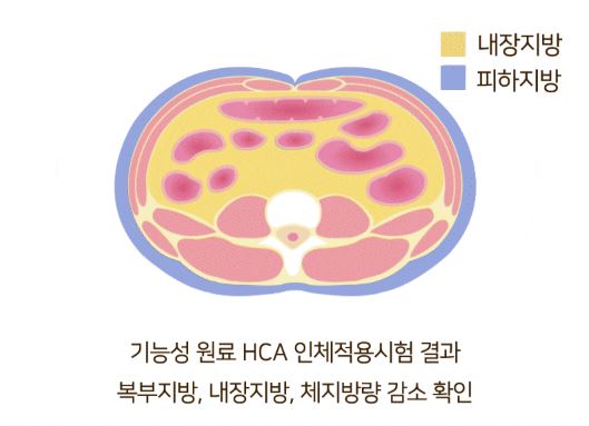 투비컷 부작용 후기 효과