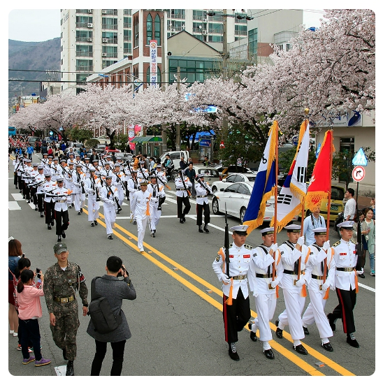 진해군항제