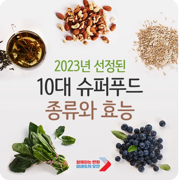 슈퍼푸드 종류 효능_1