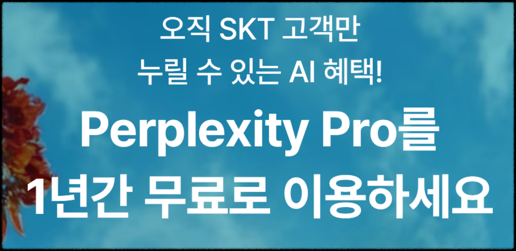 Perplexity AI Pro 무료 구독 기회! SKT 에이닷 회원 전용 이벤트_ AI 검색 혁명 1년 검색최강자