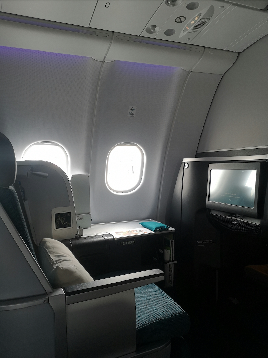 The First Class Seat of an Airplane