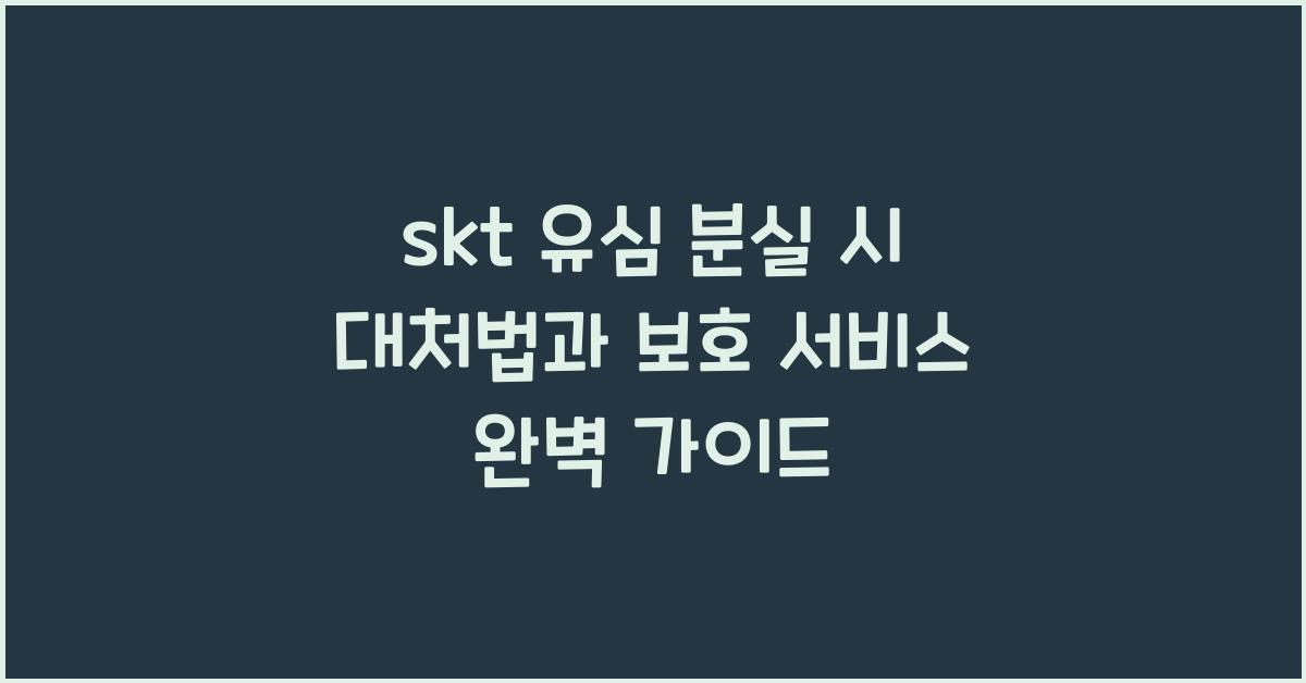 skt 유심 분실