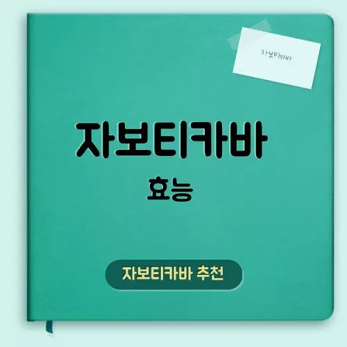 자보티카바 효능에 대하여