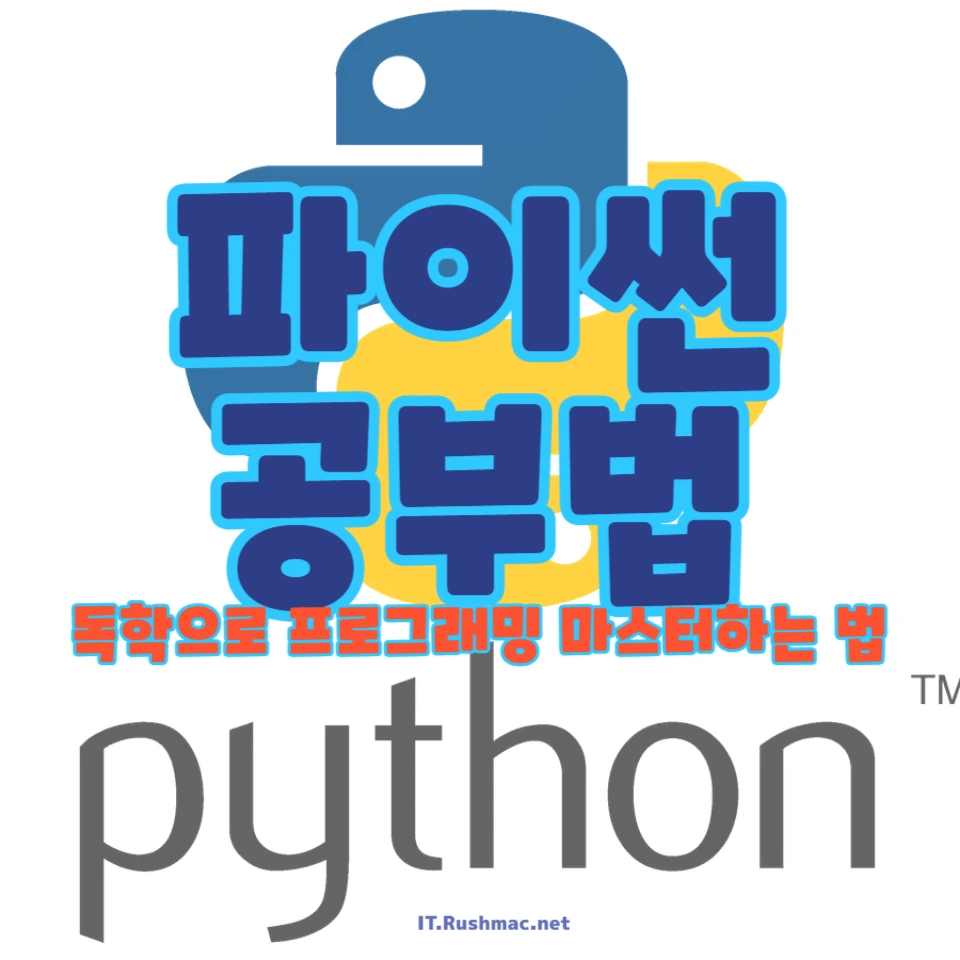 초보자를 위한 파이썬 독학 방법