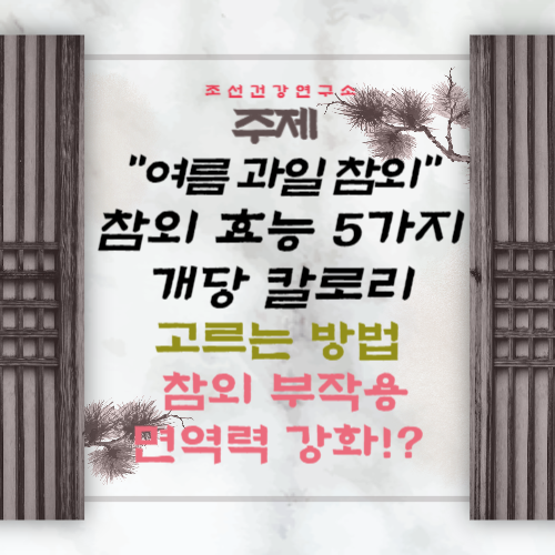 참외 껍질 참외씨 효능 5가지 참외 고르는 방법 1개 칼로리 참외장아찌 담그는 법