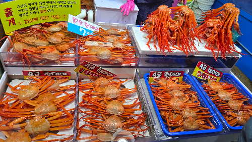 주문진 수산시장