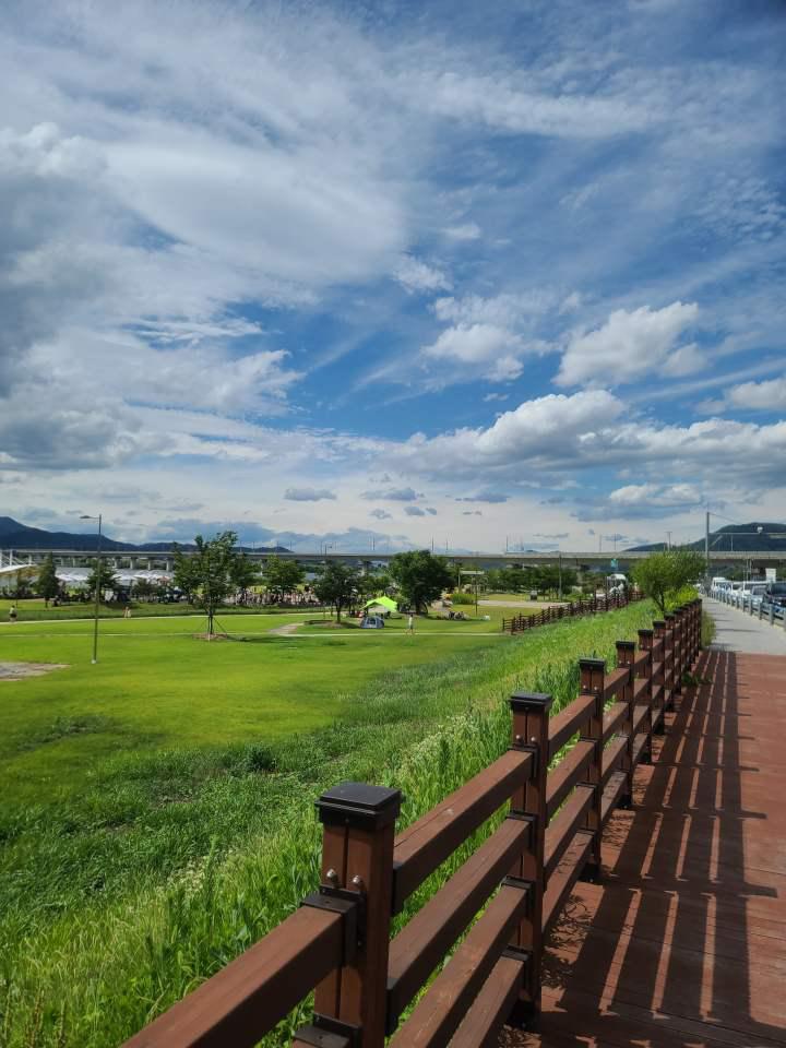 칠곡보생태공원-잔디