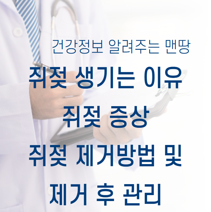 쥐젖