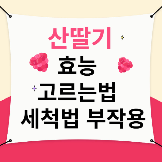 산딸기 효능,고르는법, 세척법, 부작용