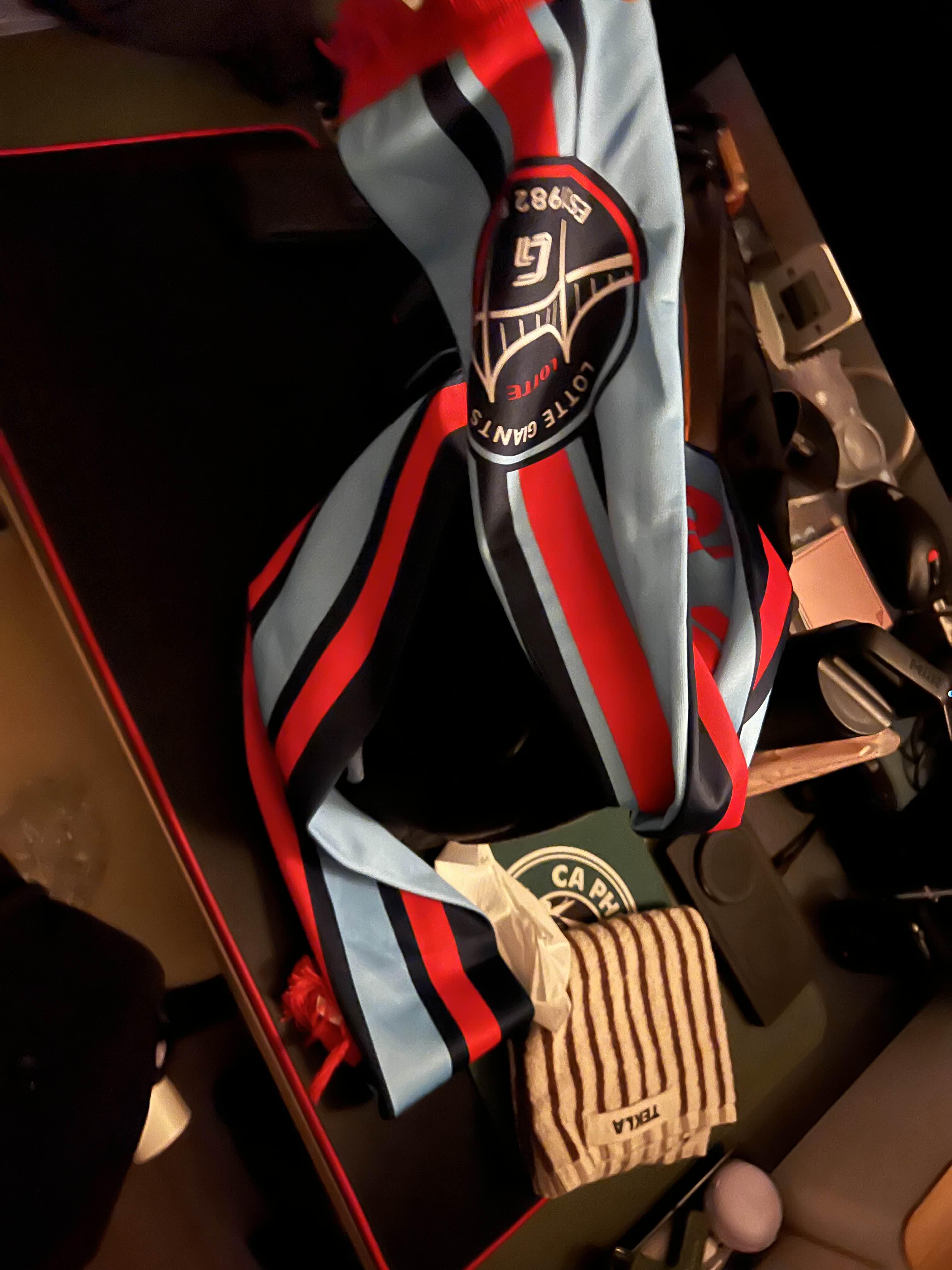 야구장 관람 기념으로 받은 응원 타월