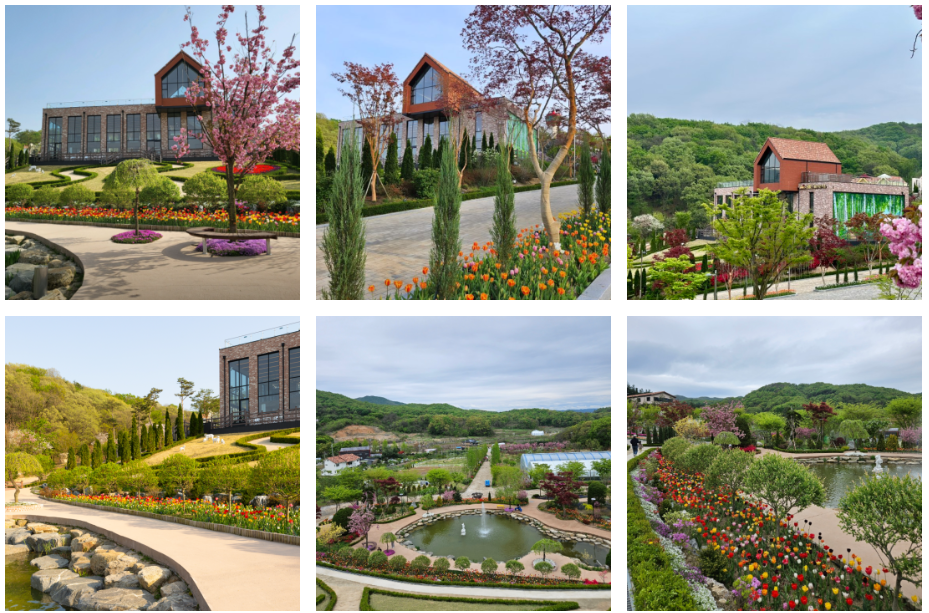 자작나무숲 산책로