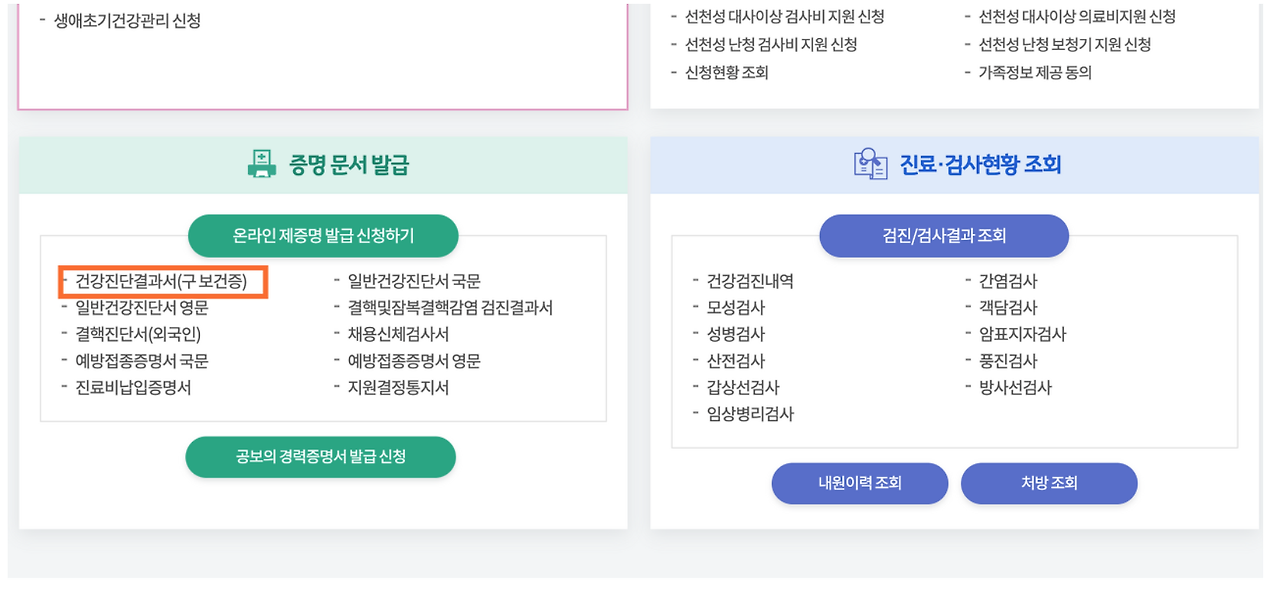 보건증 인터넷 발급 유효 기간 검사 항목 정보 (2024)