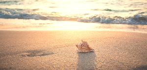 베네피아 휴가샵 근로자 휴가비지원사업