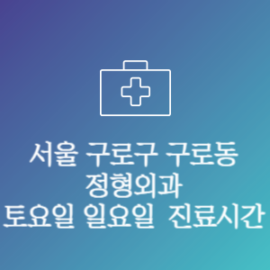 서울 구로구 구로동 정형외과 주말 토요일 일요일 문여는 병원 진료시간