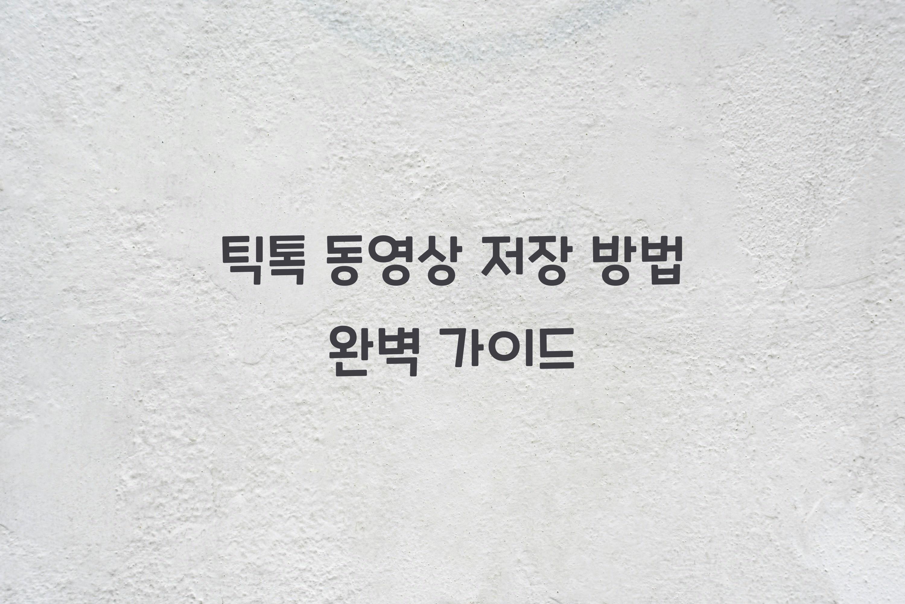 틱톡 동영상 저장 방법