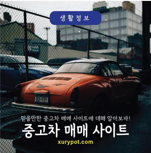 중고차 매매 사이트