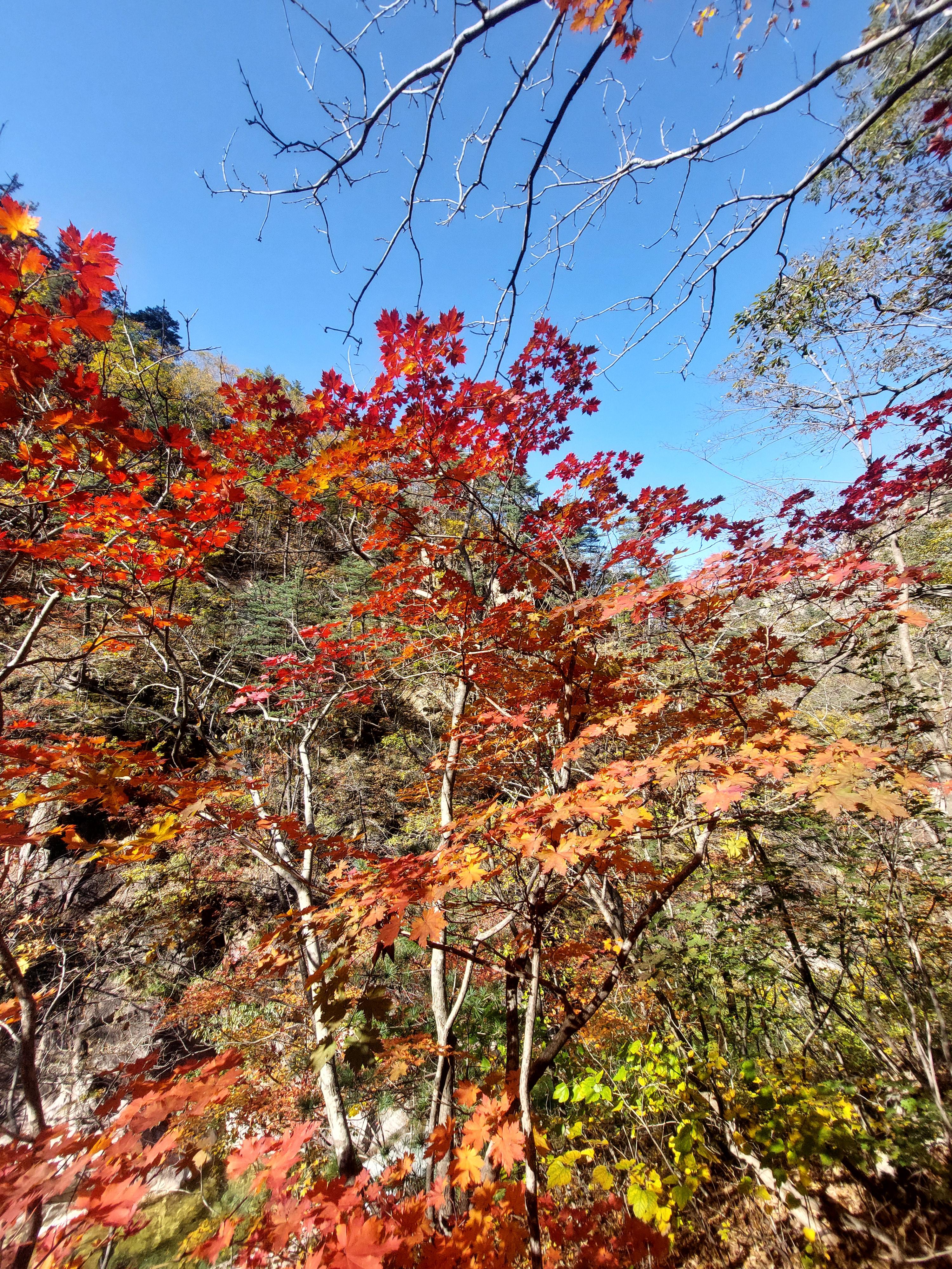 설악산