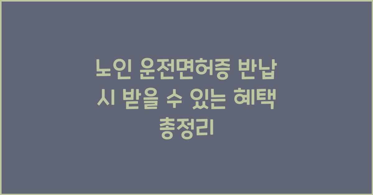 노인 운전면허증 반납