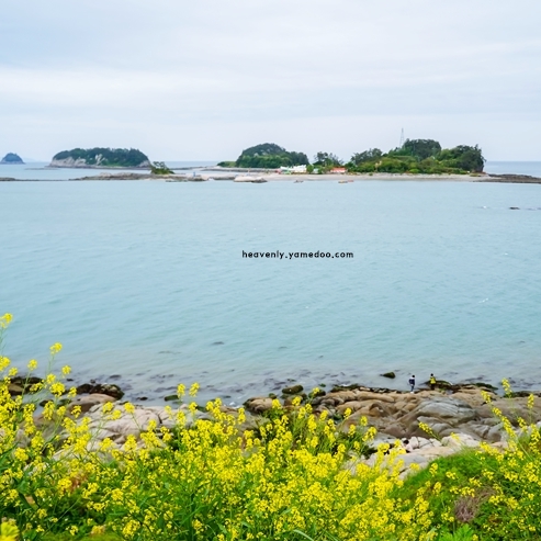 여름에 가볼만한 국내 여행지