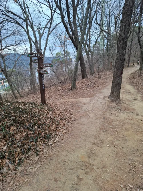 여물봉 숲길에서 내면의 생각과 외부의 풍경을 동시에 관찰하며 중심을 잡고 있는 모습 (The image of maintaining center while simultaneously observing inner thoughts and outer scenery on the Yeomul-bong forest path)