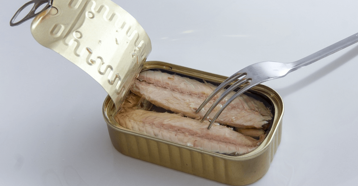 고등어 효능과 관련된 고등어와 생선 사진 - 9