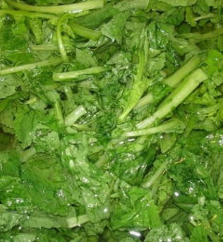 열무 효능 부작용 고르는법 칼로리