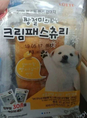 며느리가 사온 빵