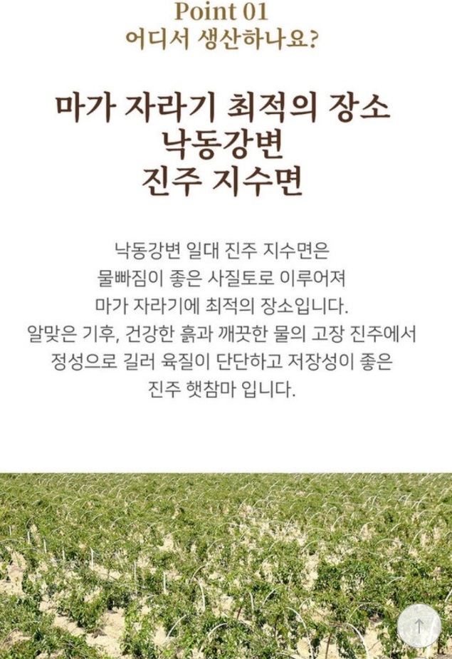 한국기행-진주-마-주문